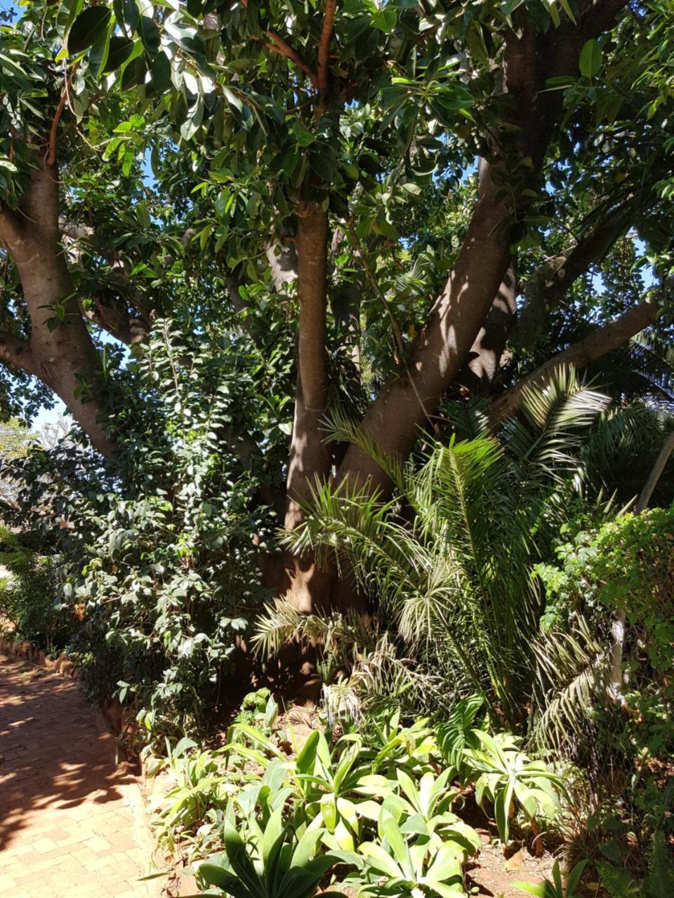 Burnham Road Suite Guest House Bulawayo Luaran gambar